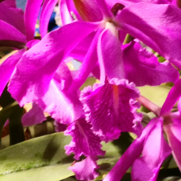 Fontfroide_2022